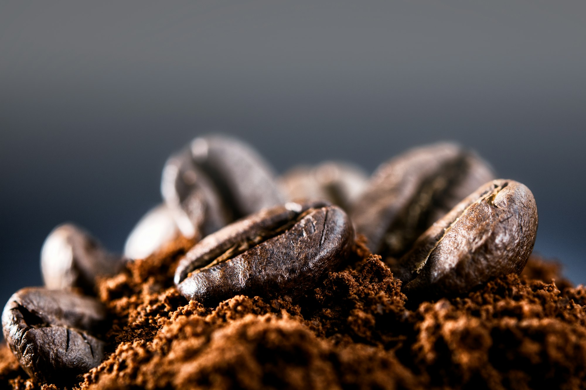 coffee beans on a dark blue background