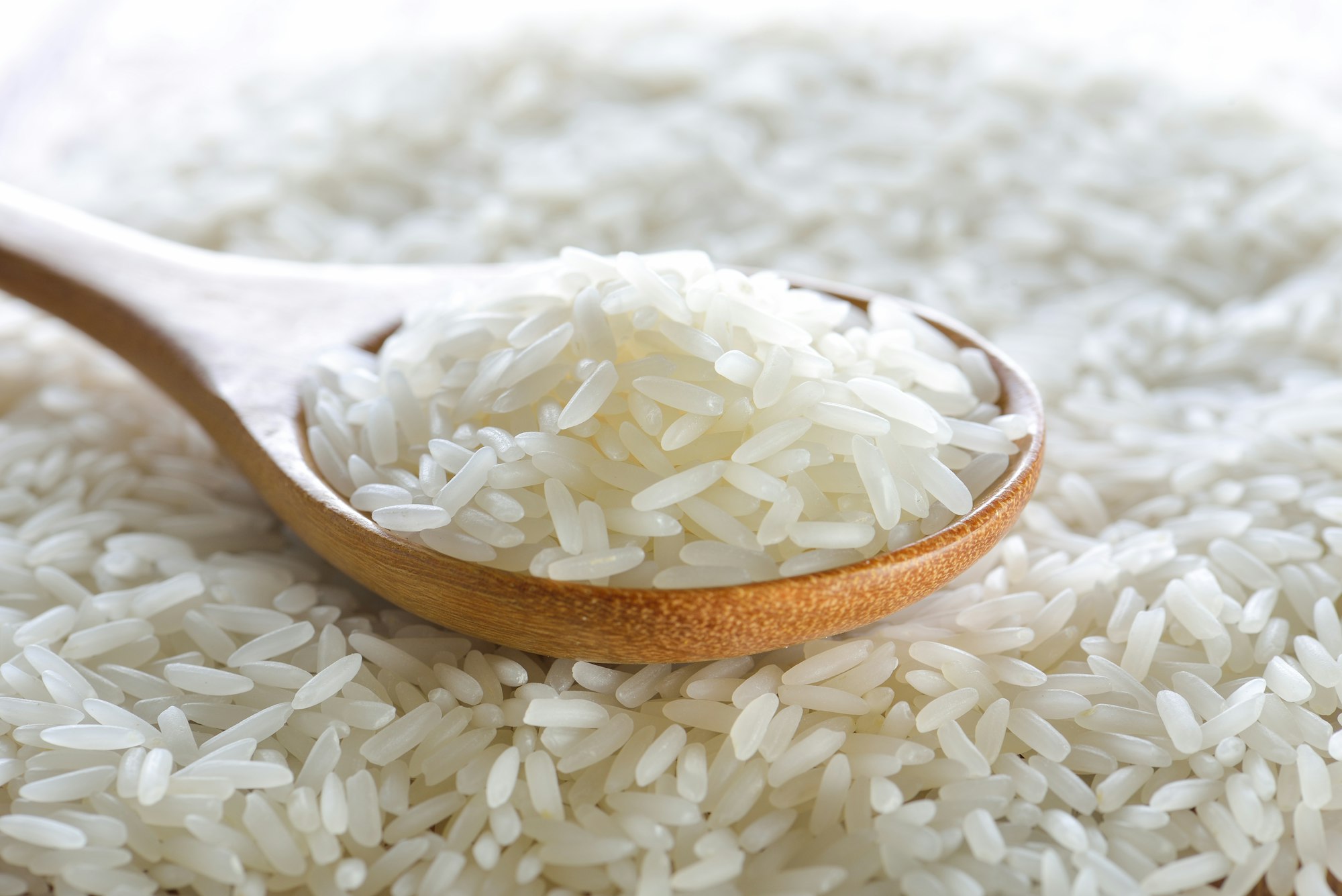 Jasmine rice